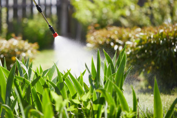 24/7 Emergency Mosquito Control experts in Poinciana, FL