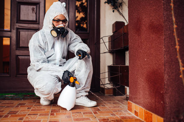 Reliable Mosquito Control contractor in Poinciana, FL by Show Me Pest Control